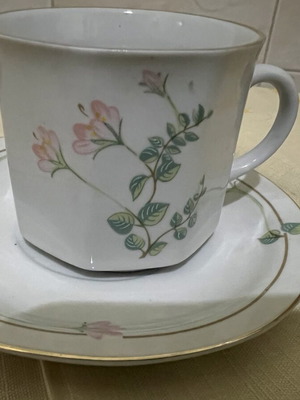 Lisheng China porcelain cup and saucer set like new