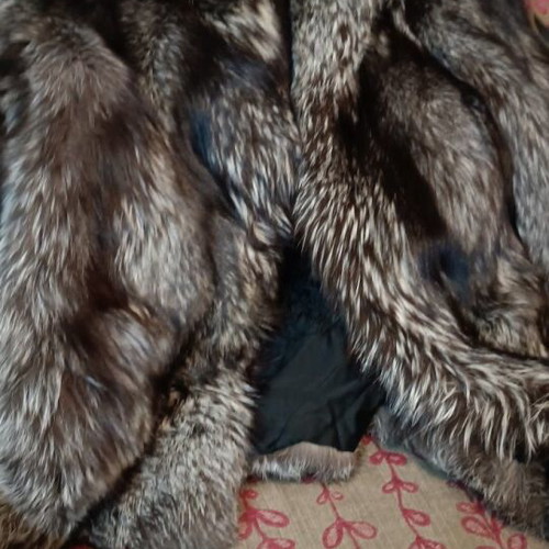 Genuine fox fur new, size medium to large, beige brown