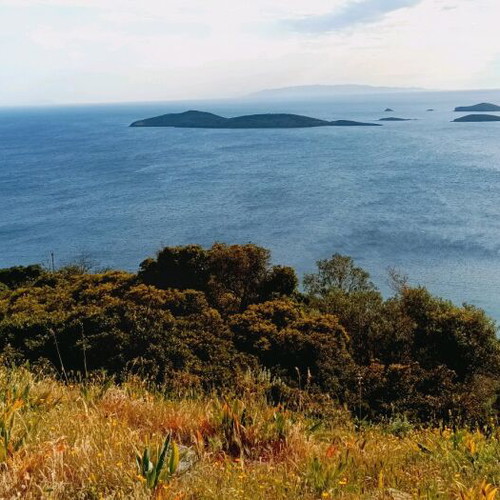 Andros Land Plots 4 Stremmata with Spring and View, Buildable