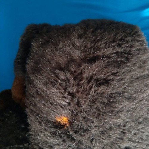 Plush monkey beautiful with small mark on back