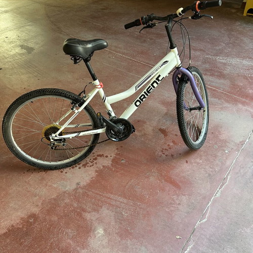 Orient Comfort city bike with anatomical saddle, 26 inch