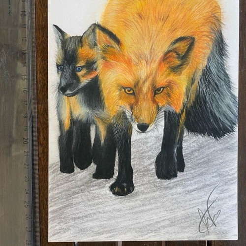 Fox & Pup drawing new, A5, alcohol markers and Stabilo Carbothello pencils