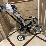 Lorelli tricycle bike