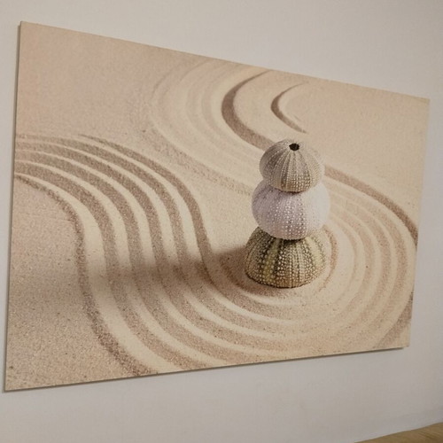 Πίνακας σε καμβά Zen Garden & Αχινοί σαν καινούργιος, μινιμαλιστική διακόσμηση