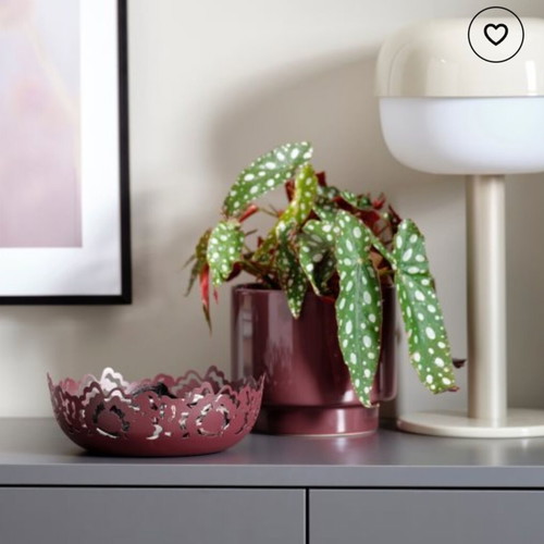 IKEA Silkestråd decorative bowl with Chinese art pattern