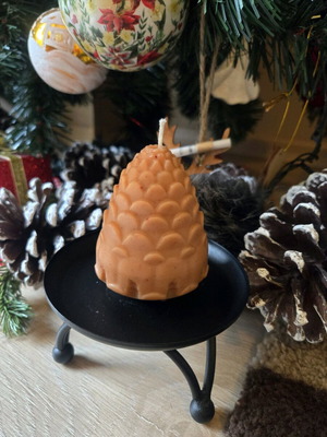 Pine Cone Candle made to order from soy wax