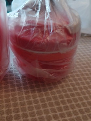 Tupperware Hand Mixer new