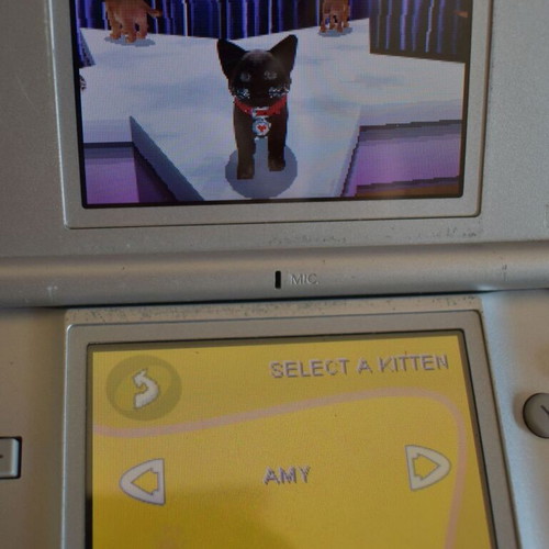 Purr Pals Nintendo DS game used, pet simulation