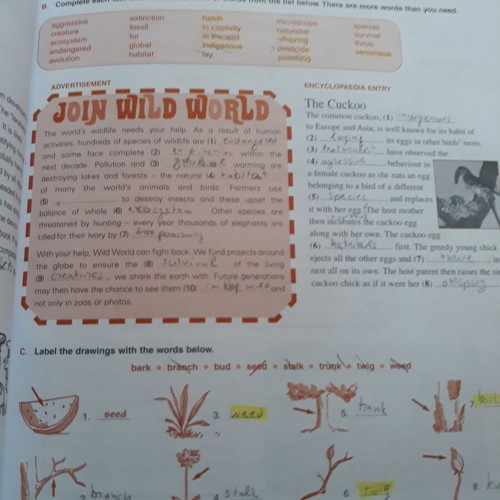 English language learning books used, New Trends and Mastermind