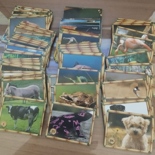 Golden Shop Jungle Stickers used, 200 different pieces