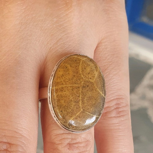 Polished Coral Fossil Ring silver plated size USA9 new