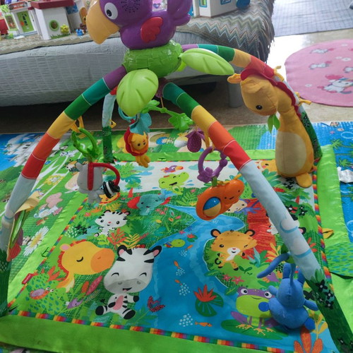 Fisher Price baby gym used with toys
