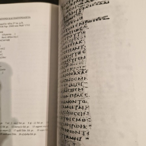 Papyrology book new, Greek