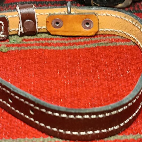 Leather dog collars like new, pack