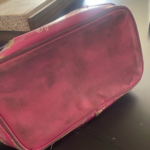 Lunch bag for girl used, worn and torn