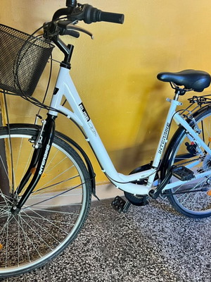 Interbike Elise 28" women's city bicycle with basket
