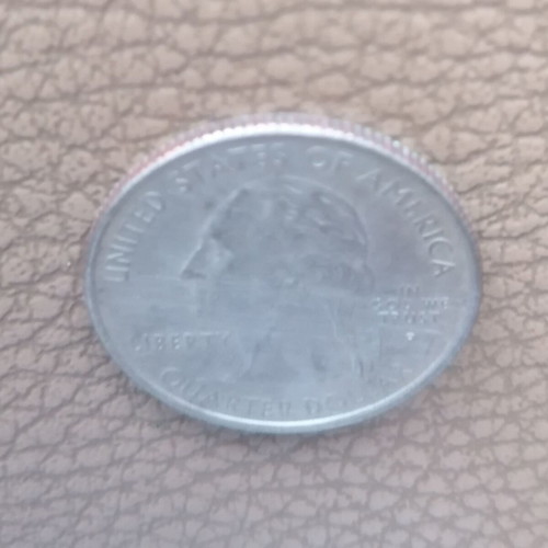 25cent USA North Dakota 2006 Buffalo coin used with P mark