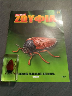 Alithina Zoyfia issue 32 used