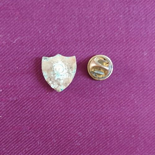 Vintage NATO lapel pin used, STANAVFORMED badge
