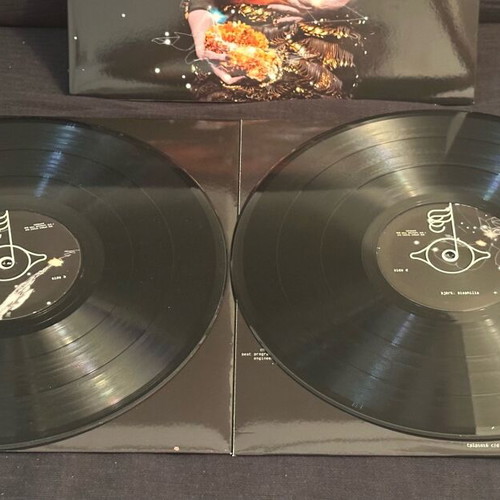Biophilia 2LP 180g vinyl album like new