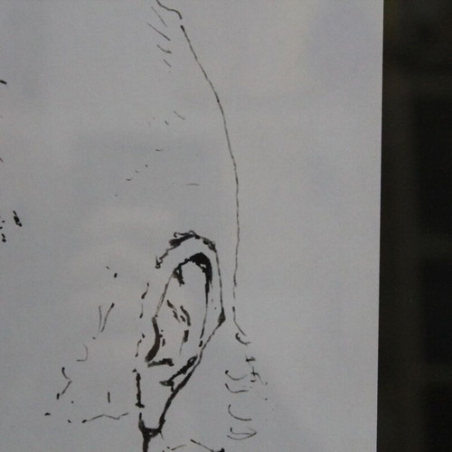 Odysseas Elytis portrait like new in A3 frame 21x30