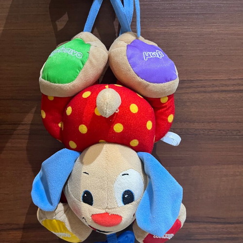 Fisher Price dog with music like new