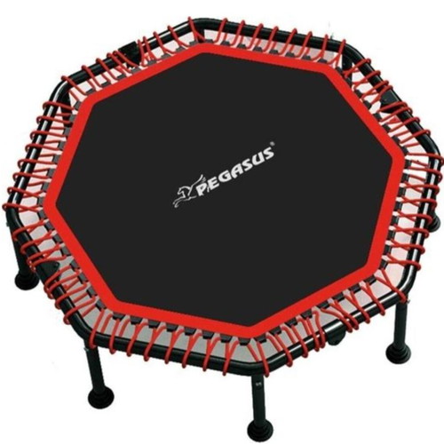Pegasus B4503 Octagonal Fitness Trampoline 48" 122cm like new