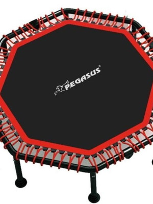 Pegasus B4503 Octagonal Fitness Trampoline 48" 122cm like new