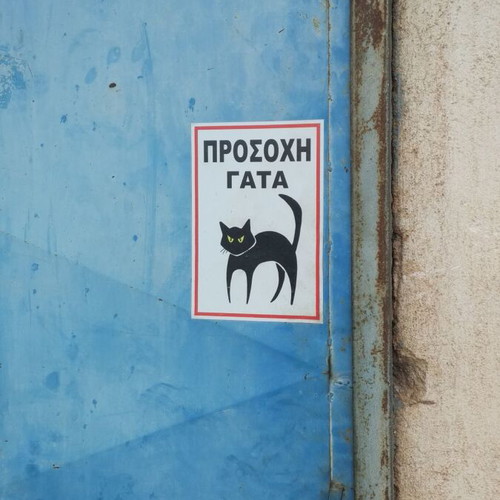 Warning Cat Sign New