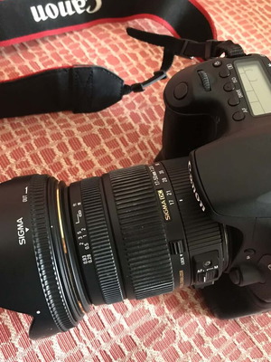 Canon 60D Camera Studio & Outdoor Set with Sigma 17-50mm f/2.8 and Accessories