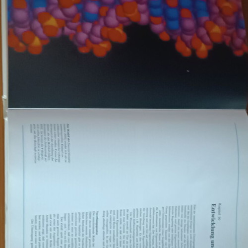 Der Körper des Menschen book like new, German anatomy guide