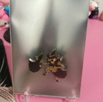 Pokémon pin new