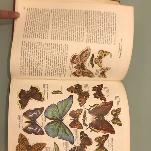 The World of Plants and Animals Volume 1 like new, Biology - Zoology