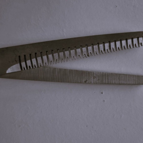 Zoofari pet grooming thinning scissors