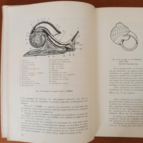 The Snail and Its Breeding like new