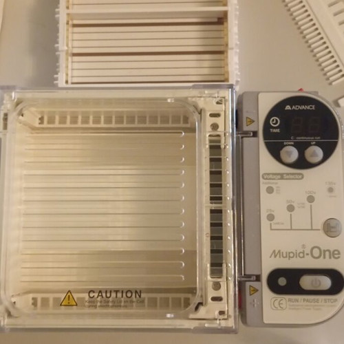 Horizontal Electrophoresis Device complete system like new
