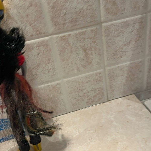 Monster High Neighthan Rot 2013 like new
