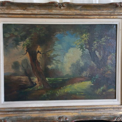 Oil painting used like new, dimensions 54 x 42