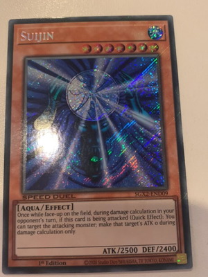 Suijin of the gate gurdian Secret like new