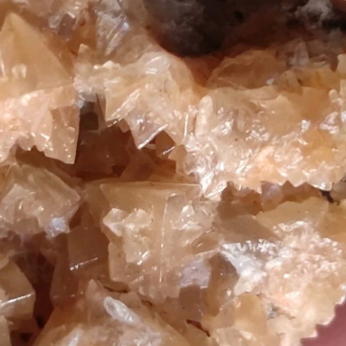 New Asvestitis from Kythera region
