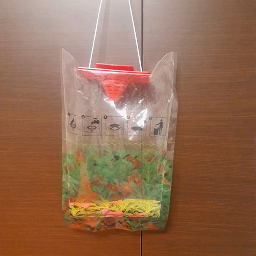 Biological flytrap new without poison for outdoor use