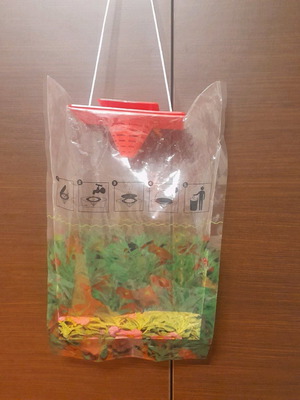 Biological flytrap new without poison for outdoor use
