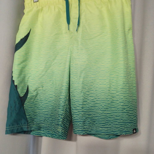 Firefly men's swim shorts size S like new, green