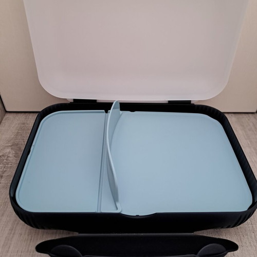 Tupperware large food container with compartments new