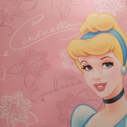 Printed canvas with Cinderella like new 45x45cm