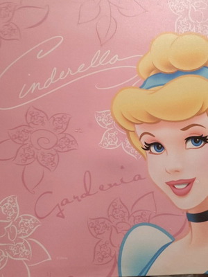 Printed canvas with Cinderella like new 45x45cm