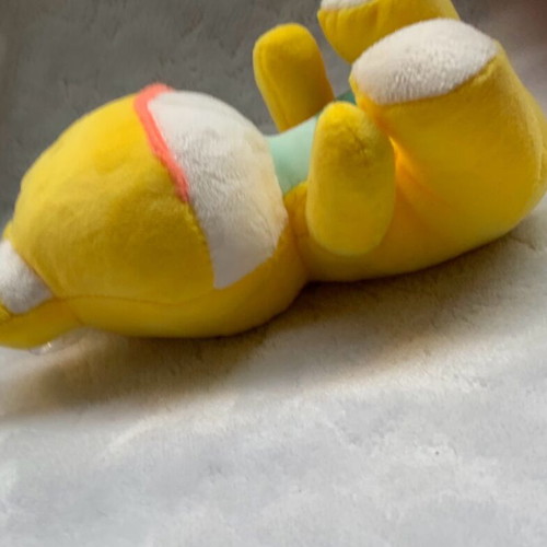 Plush frog used