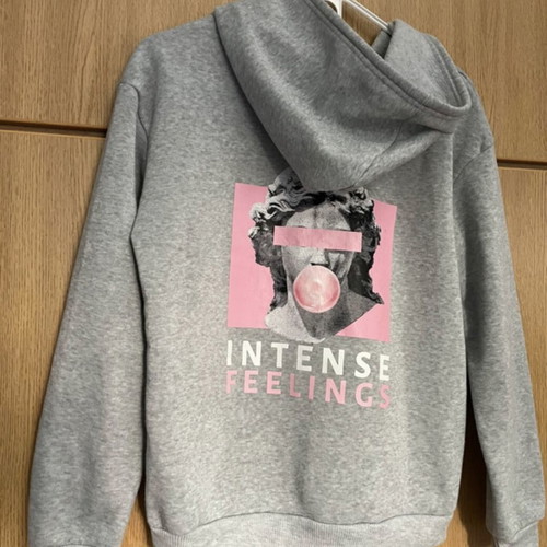 Gray hoodie with back design used, size S