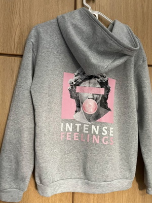 Gray hoodie with back design used, size S