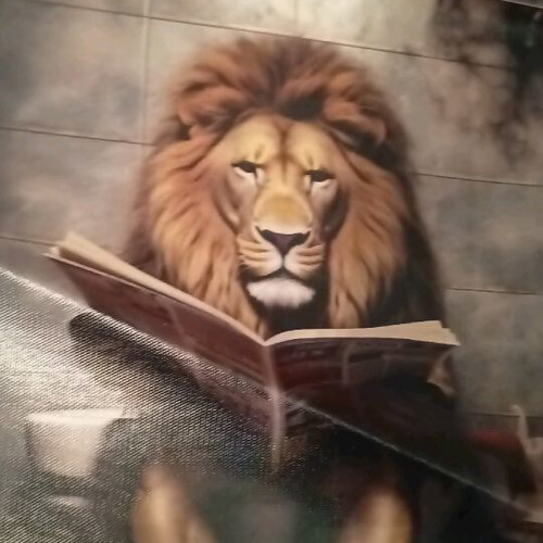 Small canvases with wild animal theme like new